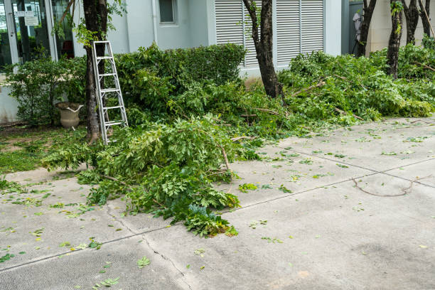 Lawn Drainage Solutions in Seven Fields, PA